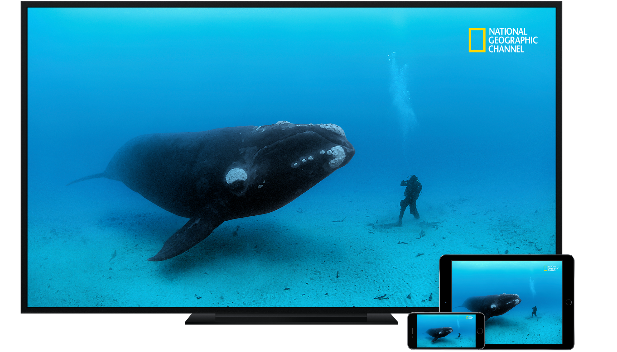 Naturprogram på tv
